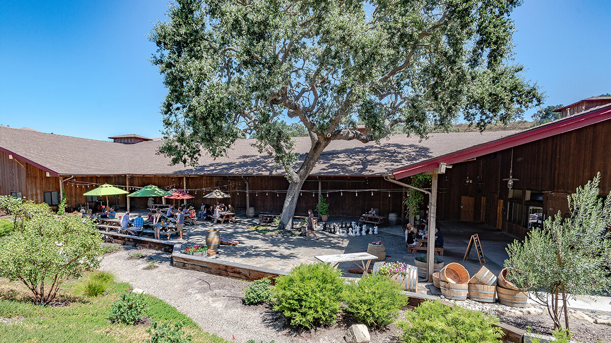 Zaca-Mesa-Winery