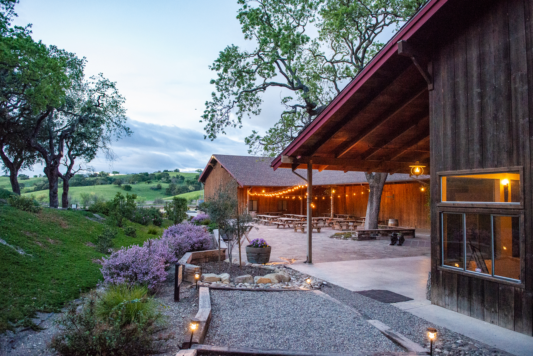 Zaca Mesa Courtyard lit up in the evening