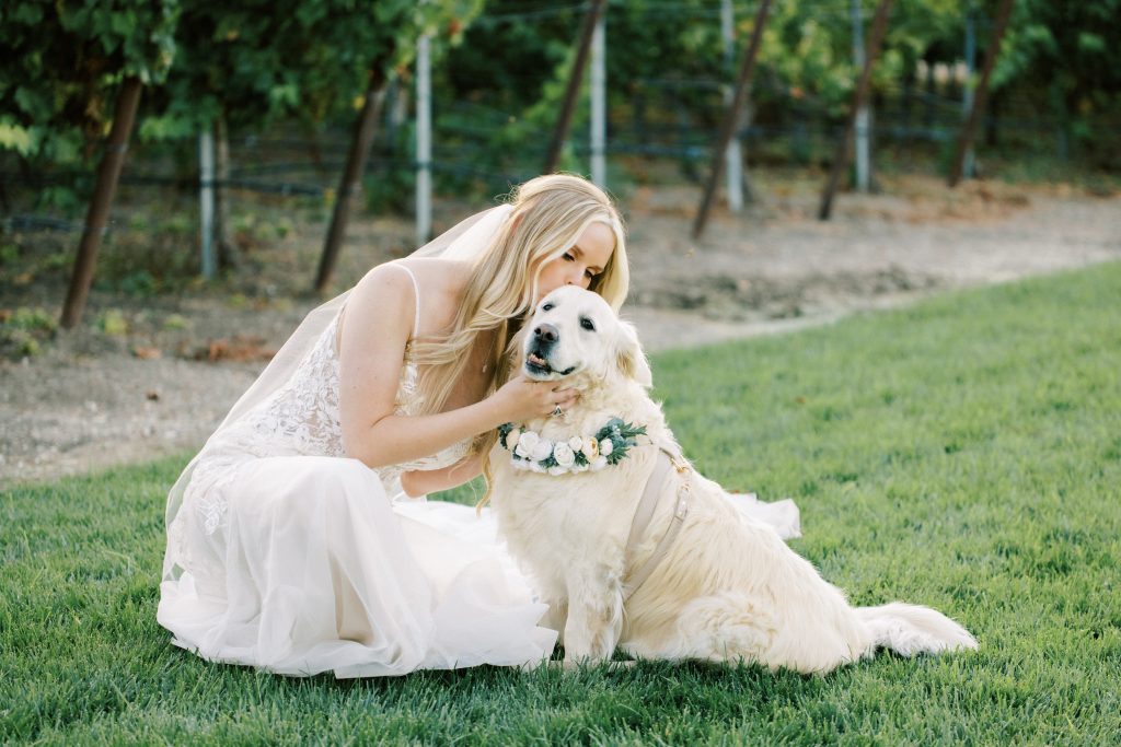 Top Wedding Trends: From Nontraditional Desserts to Pet-Friendly Ceremonies