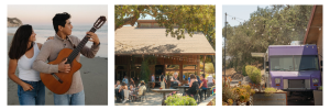 October Wine Release Event at Zaca Mesa in Los Olivos